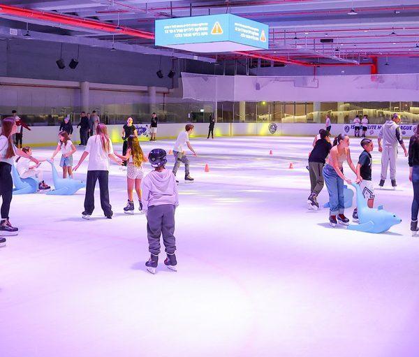 Blueice public skating niki rink full 600x511